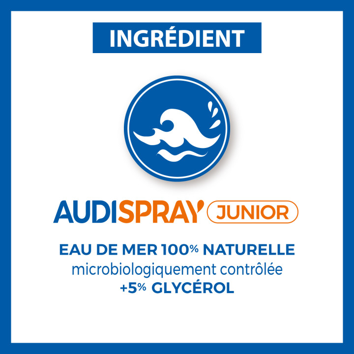 AUDISPRAY