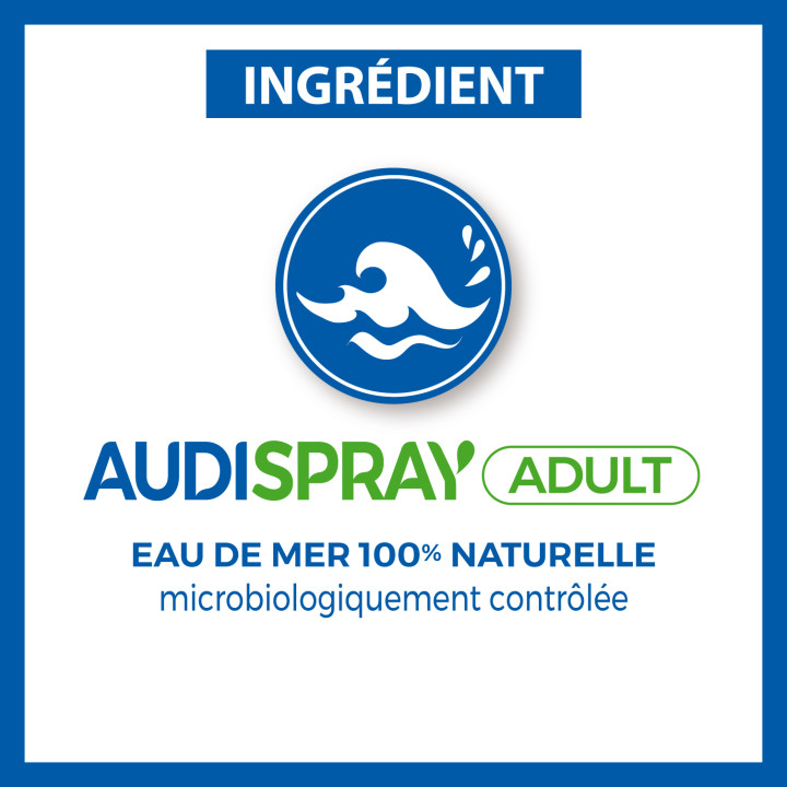 AUDISPRAY