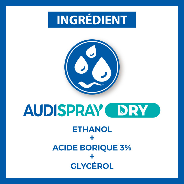 AUDISPRAY