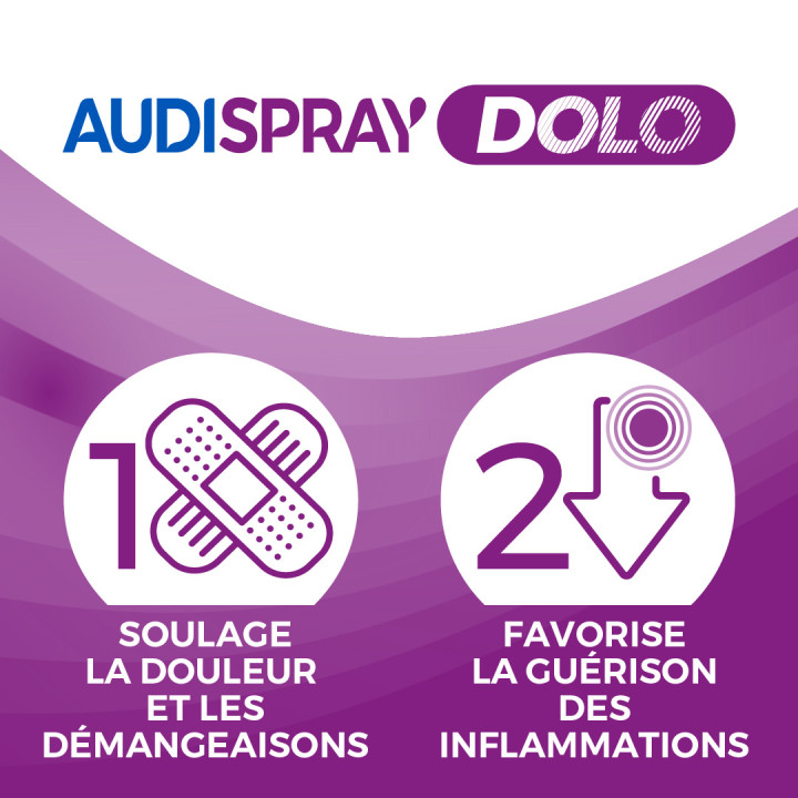 AUDISPRAY